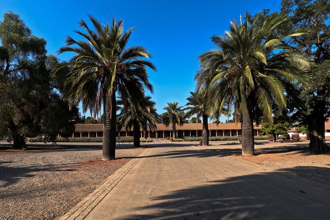Half Day Santa Rita Vineyard Tour - The Story of Santa Rita’s 120 Patriots