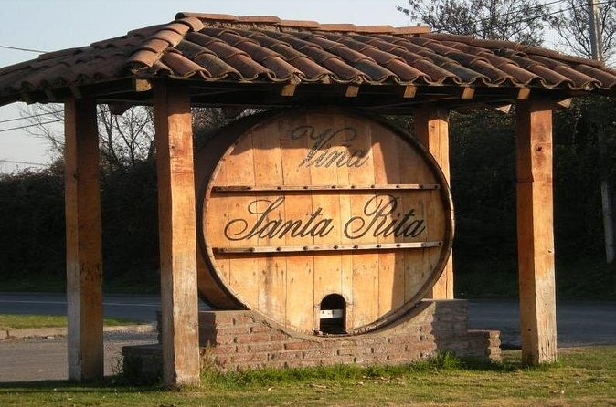 Half Day Santa Rita Vineyard Tour - Understanding the Wine-Making Process