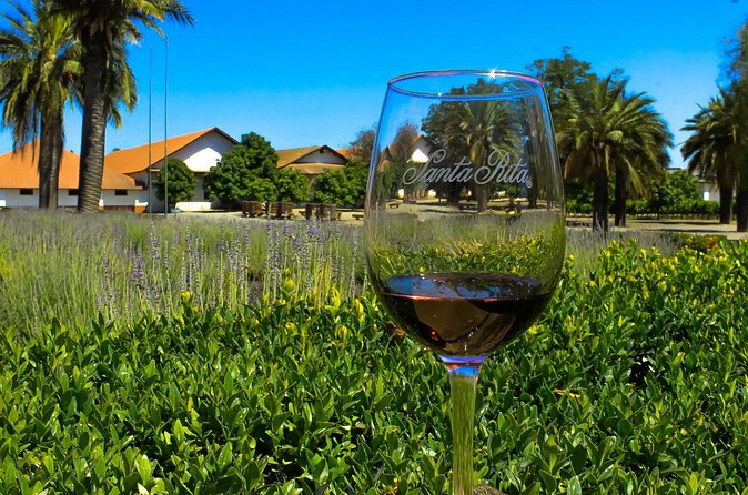 Half Day Santa Rita Vineyard Tour - Who Will Enjoy This Tour Most