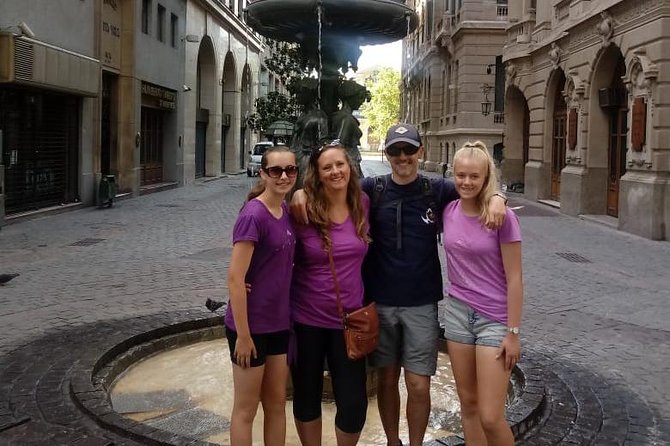 Half-Day Small-Group Panoramic Santiago Tour - The modern city beyond the historic core