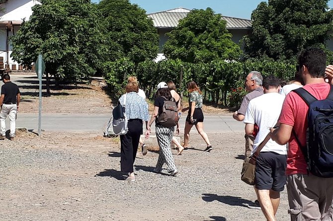 Half-Day Small-Group Santa Rita Vineyard Tour - From Santiago to Alto Jahuel in 45 minutes