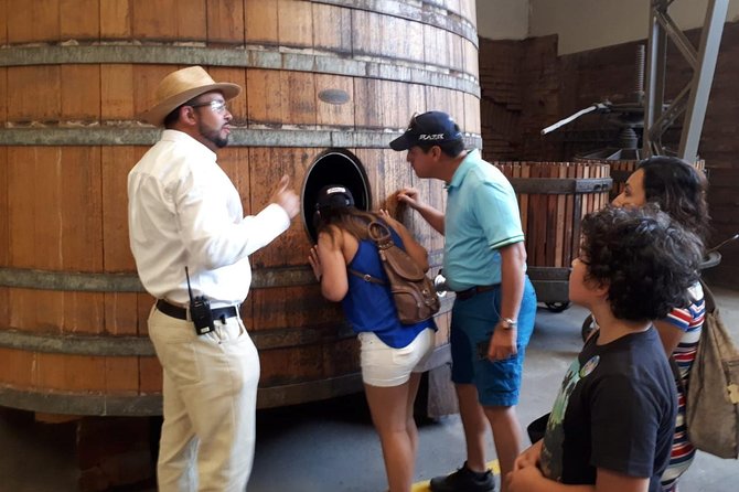 Half-Day Small-Group Santa Rita Vineyard Tour - The Andean Museum adds a second reason to visit
