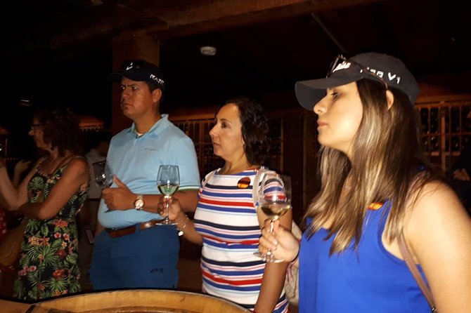 Half-Day Small-Group Santa Rita Vineyard Tour - Is $51.50 a fair price?