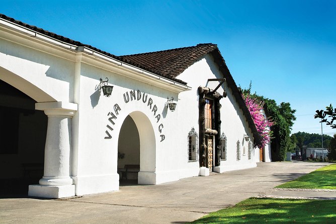 Half-Day Small Group Undurraga Vineyard Tour - Winetasting Included - Language and guide quality