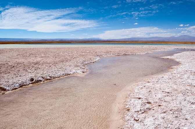 Half-Day Tour to Laguna Cejar - The tour at a glance