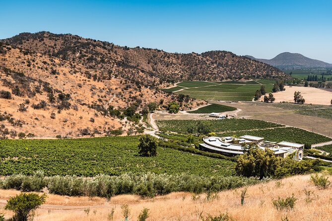 Haras de Pirque Private Vineyard Tour and Wine Tastings - Tasting wines without the usual fuss