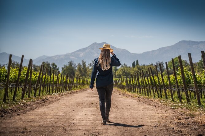Haras de Pirque Private Vineyard Tour and Wine Tastings - The terrace, valley, and Andes views