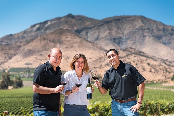 Haras de Pirque Private Vineyard Tour and Wine Tastings - Choosing between the regular tasting and sunset dinner