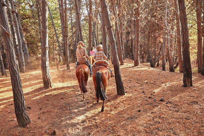 Hiking Mauco Hill & HorseRide-Ritoque Beach&Dunes From VALPARAISO - Key points to know before booking