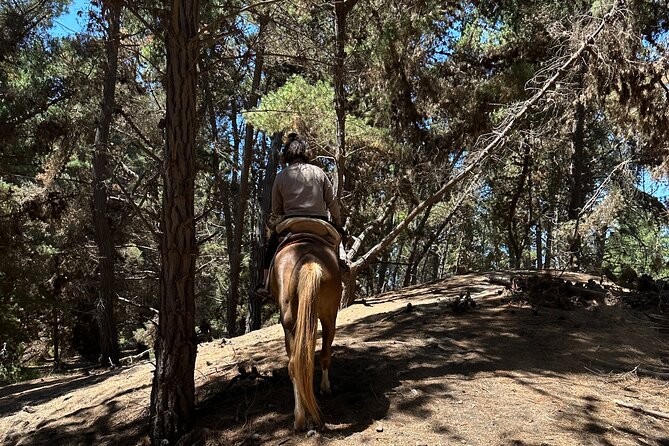 Hiking Mauco Hill & HorseRide-Ritoque Beach&Dunes From VALPARAISO - One day, three types of Chilean scenery