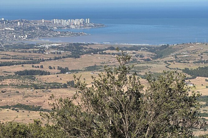 Hiking Mauco Hill & HorseRide-Ritoque Beach&Dunes From VALPARAISO - What the guides add to the day