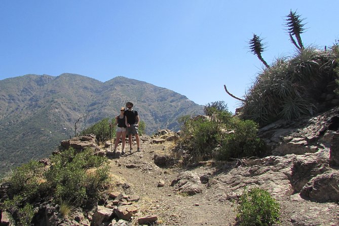 Hiking Tour in the Andes Mountains - Half Day Trip from Santiago - Understanding the schlerophyll forest