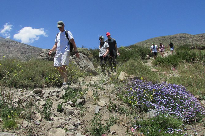 Hiking Tour in the Andes Mountains - Half Day Trip from Santiago - The cancellation concern