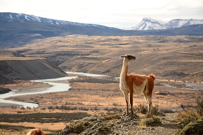 Hikking Porteria Lago Sarmiento - Paine Cascade and the box lunch stop