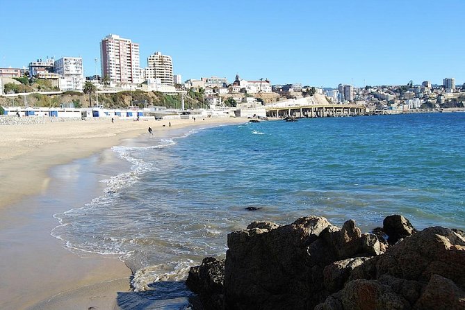 Historic Valparaiso and Viña del Mar from Santiago - Practical advice for a smoother day