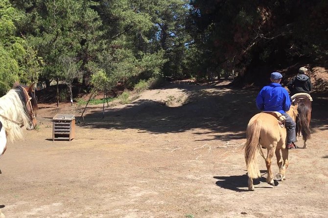 Horse Ride & BBQ in Ritoque Beach&Dunes FROM VALPO. Private Tour - The best parts of this coastal horse-riding day