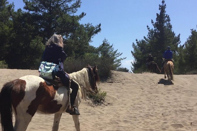 Horse Ride & BBQ in Ritoque Beach&Dunes FROM VALPO. Private Tour - From Valparaíso to the open coast