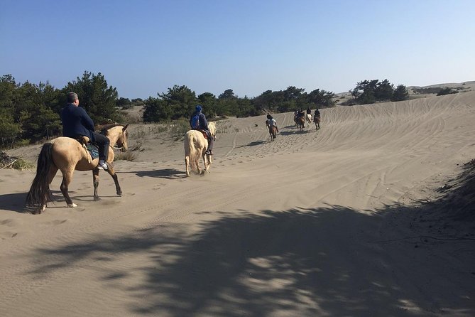 Horse Ride & BBQ in Ritoque Beach&Dunes FROM VALPO. Private Tour - Humedal de Concón and the coastal setting