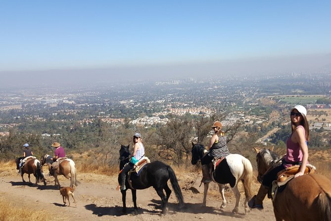 Horse Riding Tour in the Andes Santiago Chile - Choosing your Chilean horse at the ranch