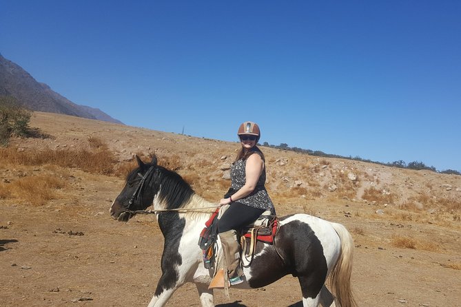 Horse Riding Tour in the Andes Santiago Chile - A picnic, Chilean wine, and a slower finish