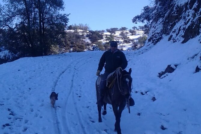 Horseback Riding in Santiago with Andes Views and Hotel Pickup - Key Things to Know Before You Ride