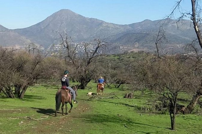 Horseback Riding in Santiago with Andes Views and Hotel Pickup - The Optional Pueblo de los Dominicos Addition