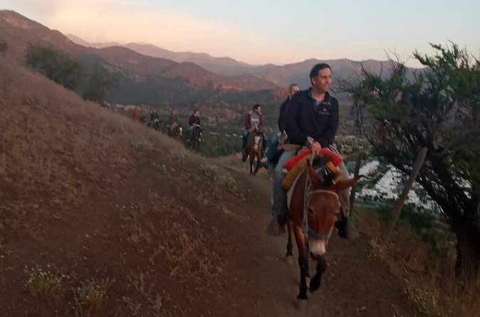 Horseback Riding in Santiago with Andes Views and Hotel Pickup - What $229 Buys You