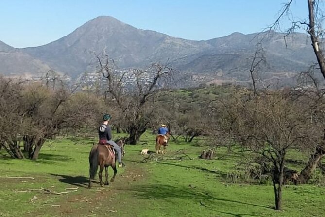 Horseback Riding in Santiago with Andes Views and Hotel Pickup - Who Will Enjoy This Most