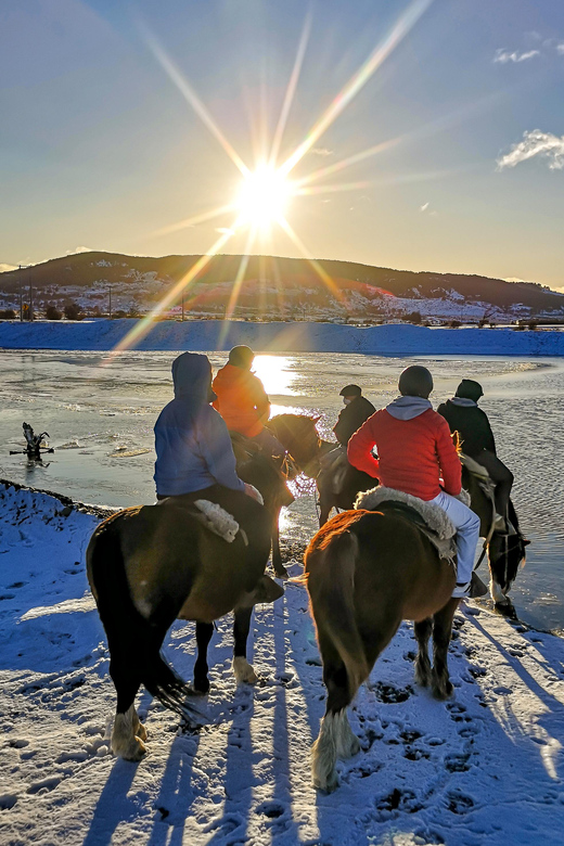 Horseback Riding near Strait of Magellan - Forest, riverbed, and beach under your saddle