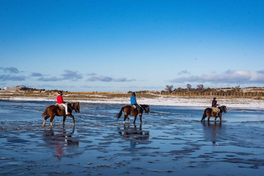 Horseback Riding near Strait of Magellan - The viewpoint across Tierra del Fuego and Dawson Island