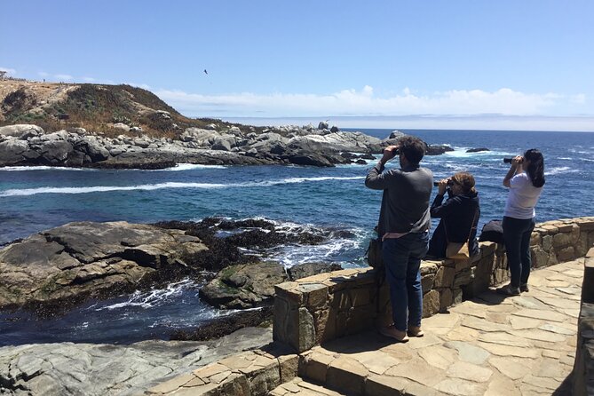 Horseback riding on beach, Winery, Alpacas, penguins & cowboyBBQ - Key details before you book