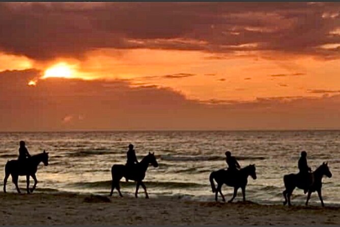 Horseback riding on beach, Winery, Alpacas, penguins & cowboyBBQ - Why this Santiago day trip feels different