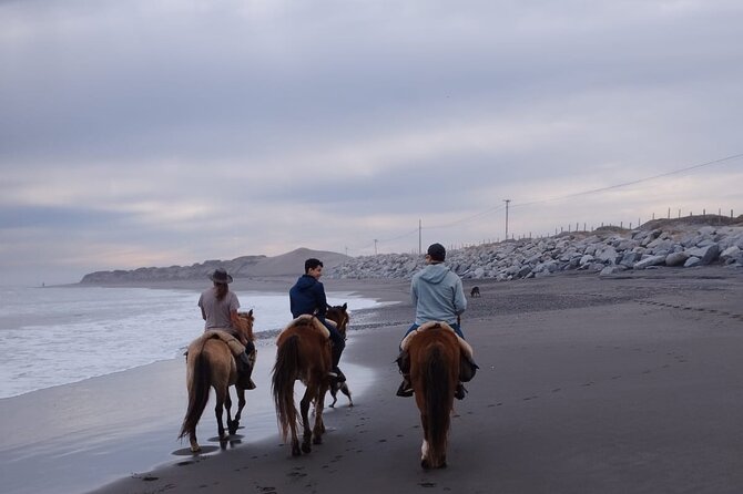 Horseback riding on beach, Winery, Alpacas, penguins & cowboyBBQ - Is $350 a fair price?