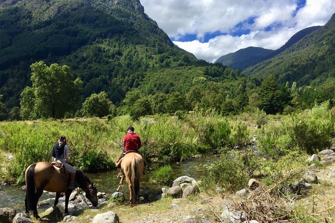 Horseback Trailride Excursion - From Pucón to the Antilco ranch