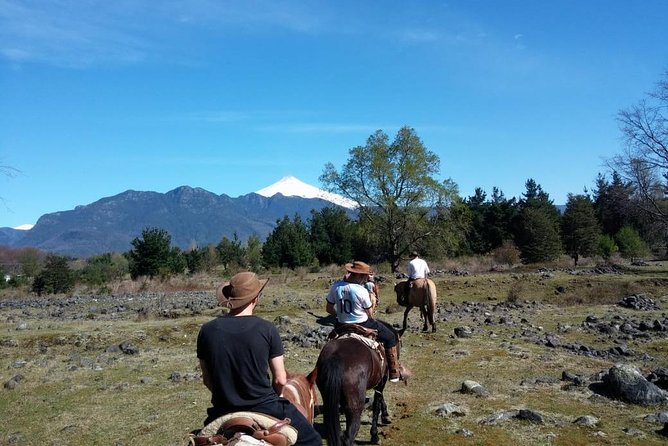 Horseback Trailride Excursion - From walking to galloping