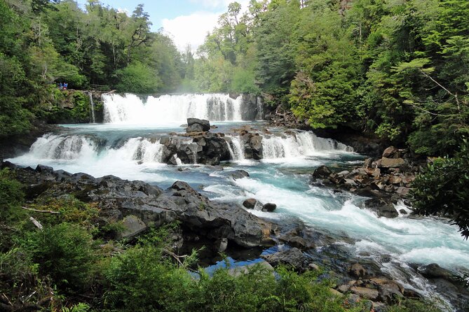 Huilo-Huilo Biological Reserve Full Day Tour - Why this 12-hour route works