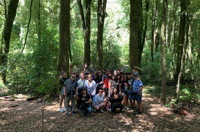 Huilo-Huilo Biological Reserve Full Day Tour - Huilo-Huilo Reserve and its waterfalls