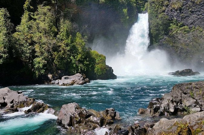 Huilo-Huilo Biological Reserve Full Day Tour - Portal de Los Ciervos and the red deer