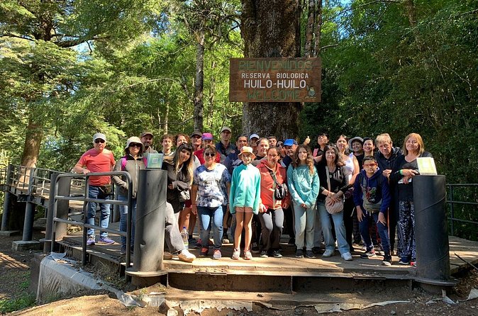 Huilo-Huilo Biological Reserve Full Day Tour - Museo de los Volcanes and the story of energy