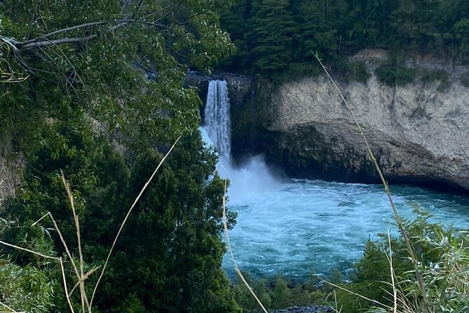 Huilo Huilo Reserve Tour from Valdivia with Lunch - Puerto Fuy and Lago Pirehueico