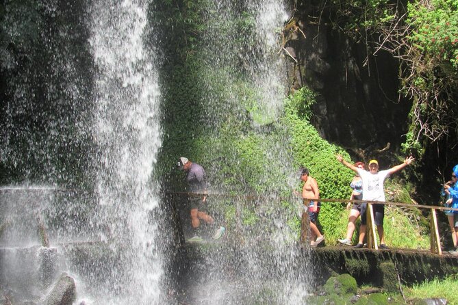 Huilo Huilo Reserve Tour from Valdivia with Lunch - The guide can make or break a long day