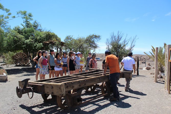 Humberstone Saltpeter Tour - Pica Oasis - Humberstone and Santa Laura: Chile’s Nitrate Story in Rust