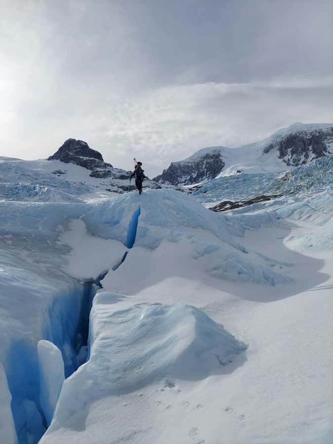 Ice Trekking Adventure on Calluqueo Glacier, Patagonia - The forest hike sets the pace