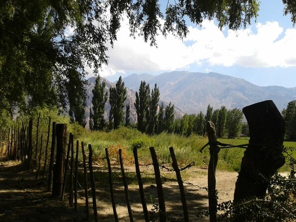 Inca Lagoon in Andes Mountain Range - Visit Local Vineyard with Tasting included - Why This Andes Day Trip Works
