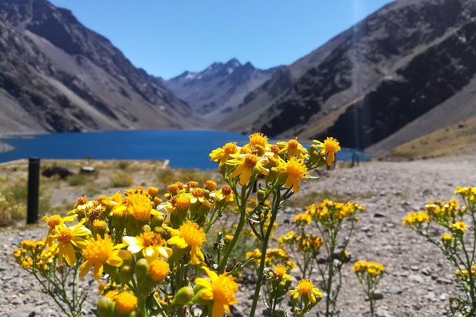 Inca Lagoon in Andes Mountain Range - Visit Local Vineyard with Tasting included - The Drive Through Chile’s Countryside