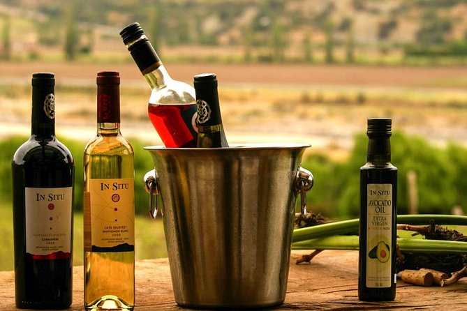 Inca Lagoon in Andes Mountain Range - Visit Local Vineyard with Tasting included - What the Long Return Drive Means