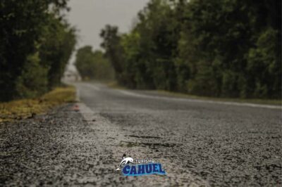 Inner Coast of Chiloé: Road and Sea.