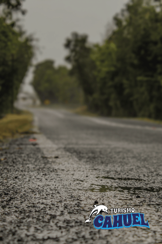 Inner Coast of Chiloé: Road and Sea. - Small villages along the inner coast