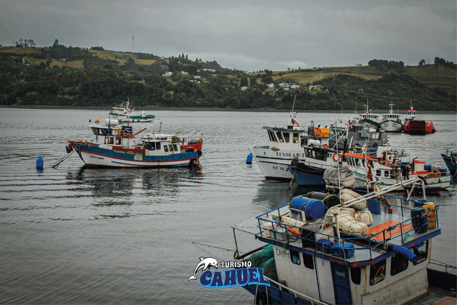 Inner Coast of Chiloé: Road and Sea. - Quemchi, the final town on the route