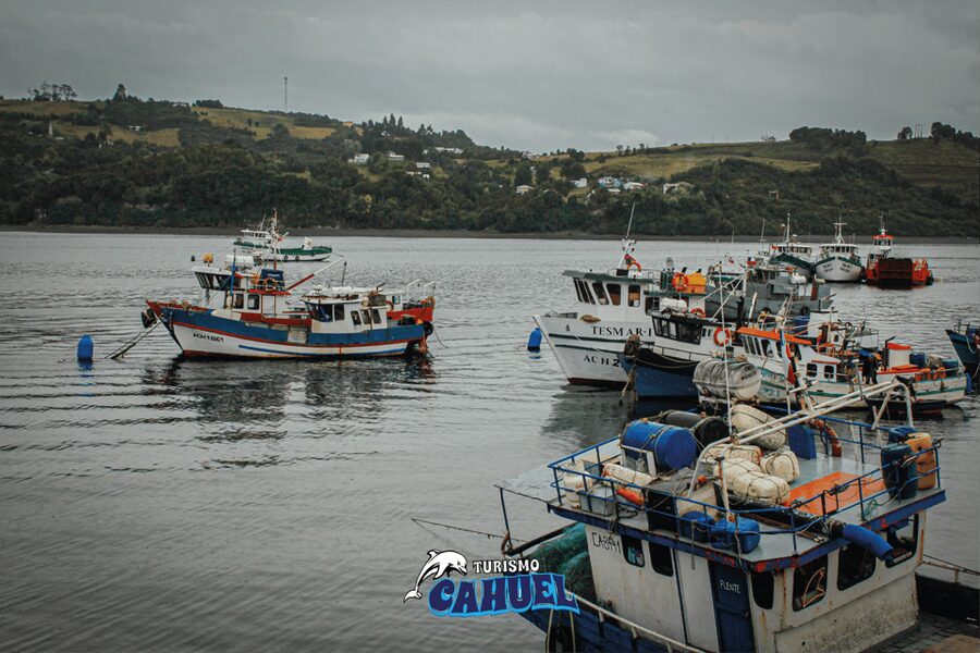 Inner Coast of Chiloé: Road and Sea. - The $106 price: fair value for a private day